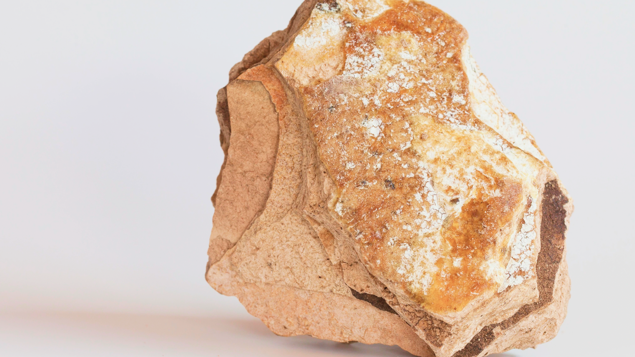 Is Perfume Made Our Of Whale Vomit (Ambergris)?