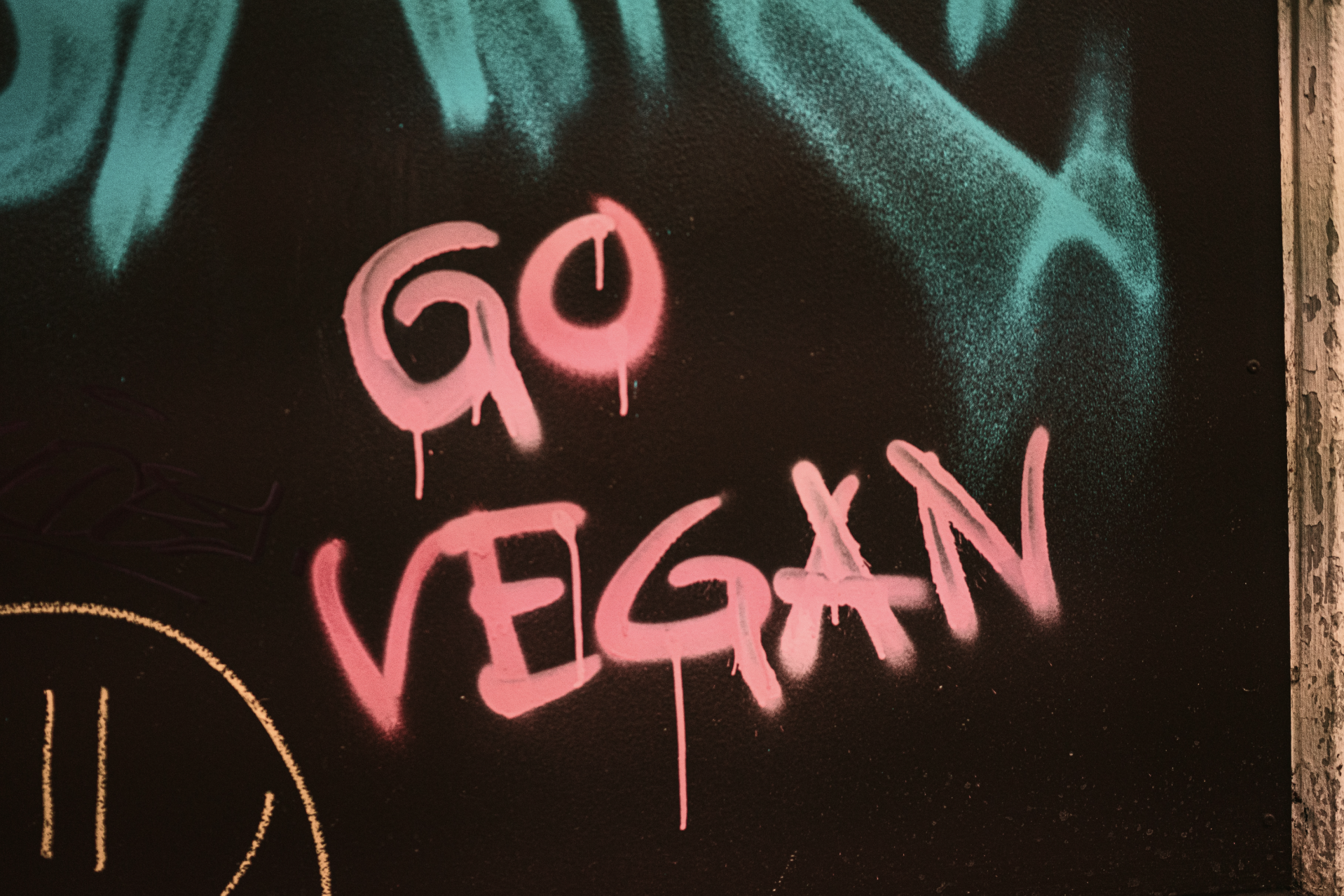 What Popular Perfumes Are Vegan?