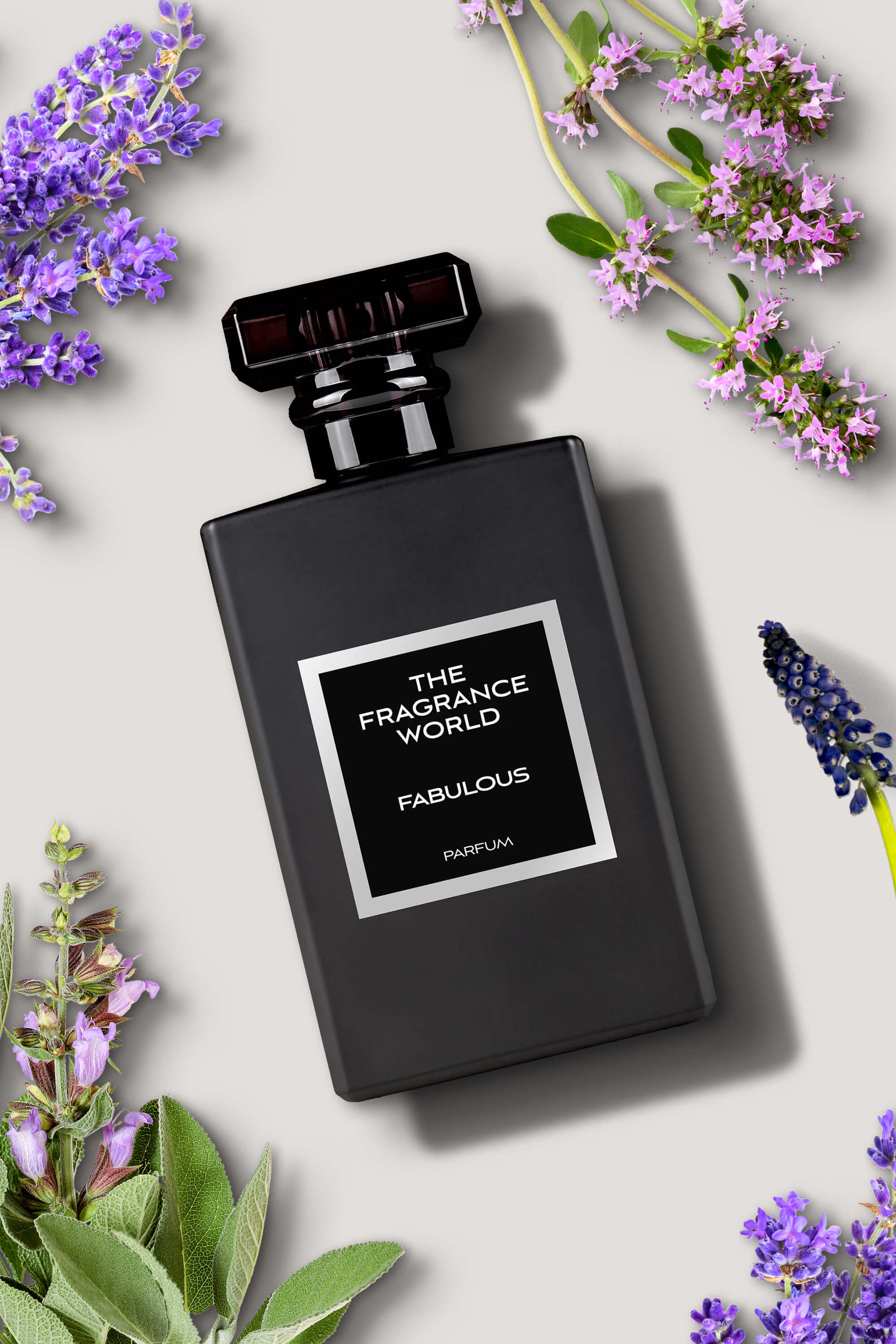 Men's Perfume – ShanShar Beauty : The world of beauty.