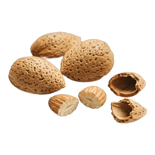 Bitter Almond