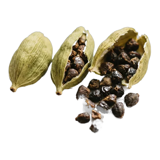 Cardamom