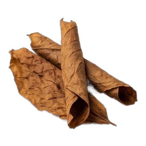 Tobacco