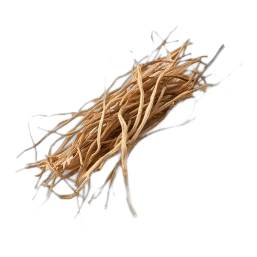Vetiver