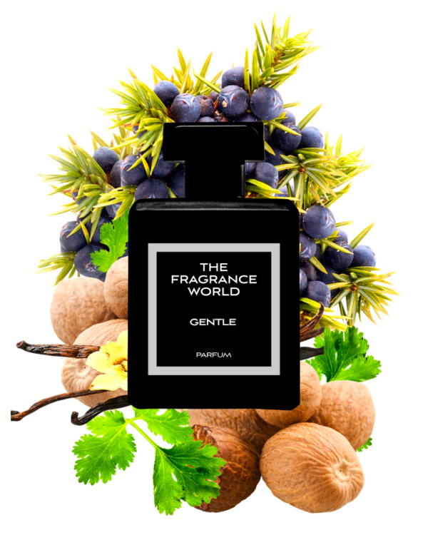 Gentle - Inspired by MFK Gentle Fluidity lifestyle