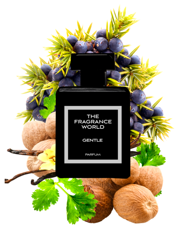 Gentle - Inspired by MFK Gentle Fluidity lifestyle