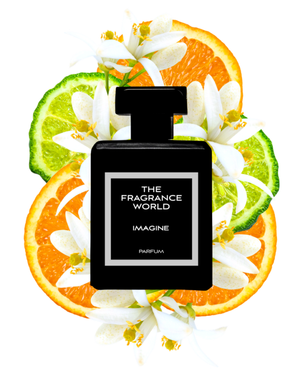 Imagine - Inspired by Louis Vuitton Imagination lifestyle