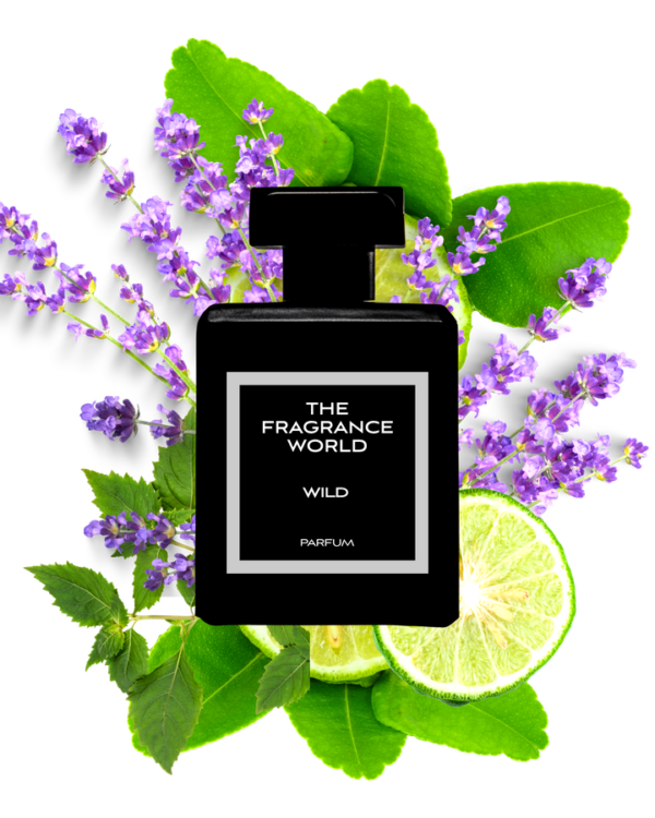 Wild - Inspired by Dior Sauvage lifestyle